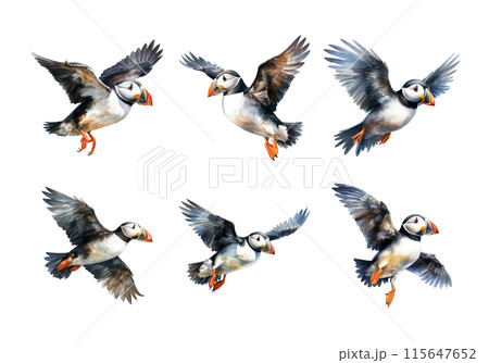 Puffin, Bird Illustration. Watercolor Style. AI Generated Puffin, Bird Illustration. Watercolor Style. AI Generated 115647652