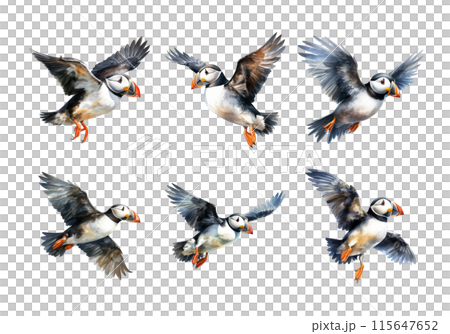 Puffin, Bird Illustration. Watercolor Style. AI Generated Puffin, Bird Illustration. Watercolor Style. AI Generated 115647652