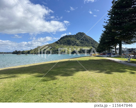 ニュージーランド北島・マウントマウンガヌイ 115647846