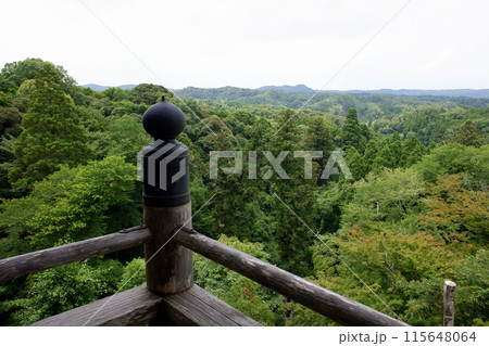 千葉県 笠森寺観音堂回廊と房総の森 千葉県 笠森寺観音堂回廊と房総の森 115648064