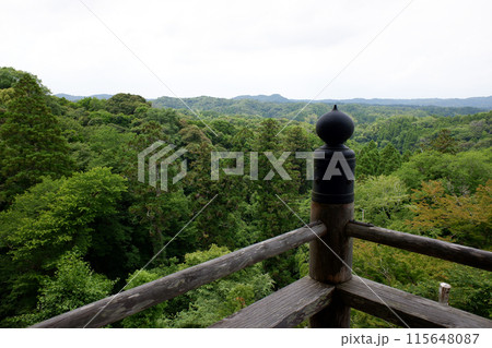 千葉県　笠森寺観音堂回廊と房総の森 115648087
