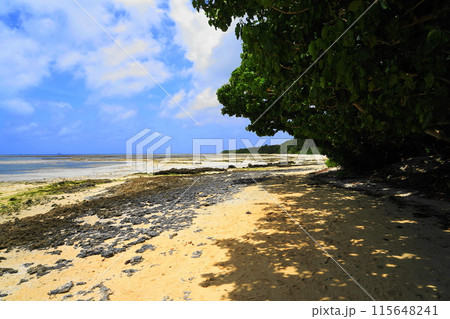 真夏の青い海と空　7月竹富島07星砂カイジ浜・竹富島・沖縄八重山諸島 115648241
