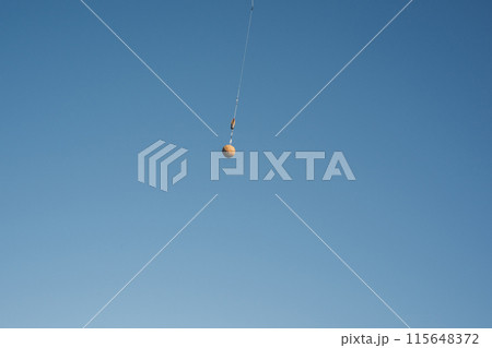 コイ釣り コイ釣り 115648372