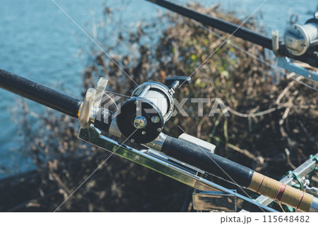 コイ釣り コイ釣り 115648482