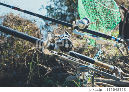 コイ釣り コイ釣り 115648528