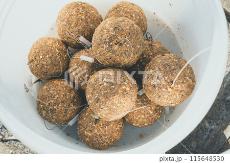 コイ釣り コイ釣り 115648530