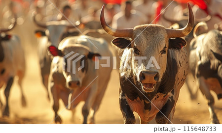 San Fermin Festival . the danger and excitement of the running of the bulls. 115648733
