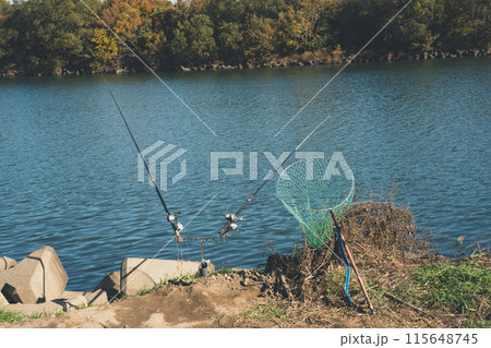 コイ釣り 115648745