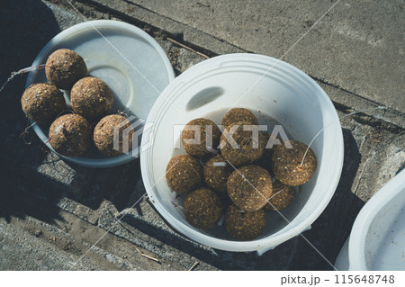 鯉釣り 鯉釣り 115648748