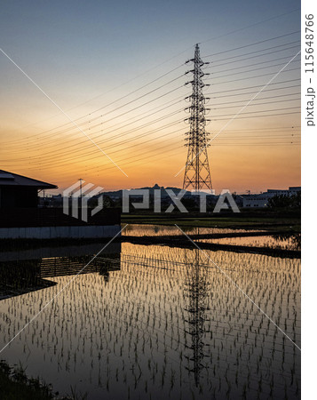 朝の小牧山城の見える風景の写真素材 [115648766] - PIXTA