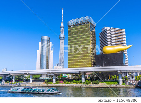 日本の東京都市景観 浅草水上バス乗船場を離れたホタルナなどを望む…＝5月3日 115648880