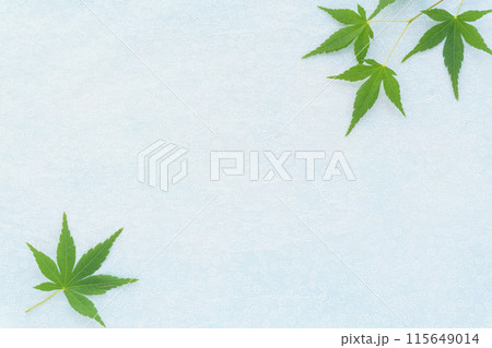 青もみじと小花柄の和紙の淡いブルー背景 115649014