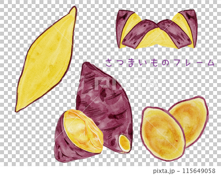 Watercolor autumn harvest sweet potato design frame set material no text 115649058