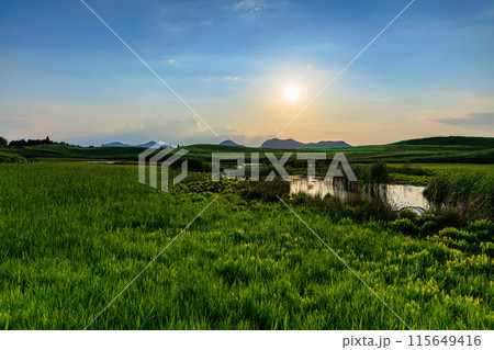 奈良と三重の県境曽爾高原の夕景　西の祖低く高原を照らす太陽➄ 115649416