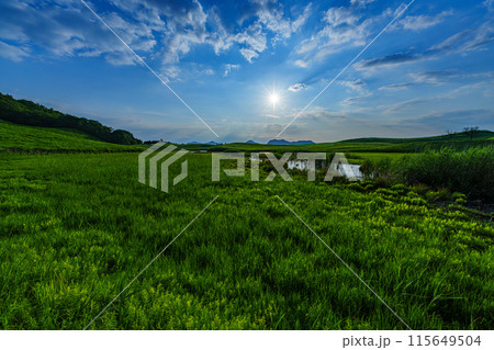 奈良と三重の県境曽爾高原の夕景　西の祖低く高原を照らす太陽⑦ 115649504