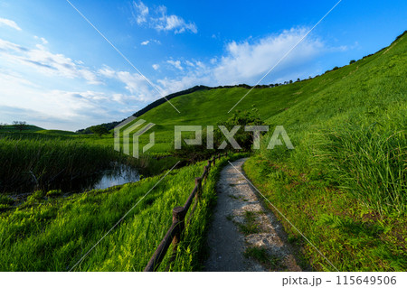 奈良と三重の県境曽爾高原の夕景 お亀池南端の遊歩道と倶留尊山① 奈良と三重の県境曽爾高原の夕景 お亀池南端の遊歩道と倶留尊山① 115649506