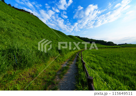 奈良と三重の県境曽爾高原の夕景 亀山のなだらかな斜面とお亀池南端の遊歩道② 奈良と三重の県境曽爾高原の夕景 亀山のなだらかな斜面とお亀池南端の遊歩道② 115649511