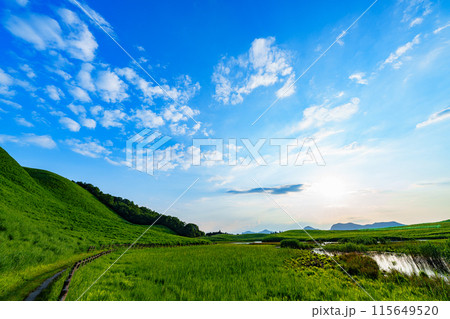 奈良と三重の県境曽爾高原の夕景 西の祖低く高原と遊歩道を照らす太陽➄ 奈良と三重の県境曽爾高原の夕景 西の祖低く高原と遊歩道を照らす太陽➄ 115649520