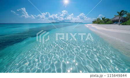 Tropical Beach with Palm Trees 115649844
