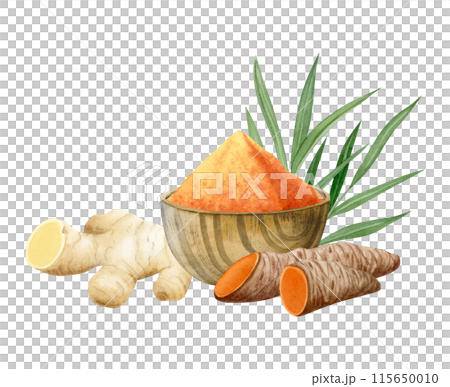Ginger and turmeric curcuma roots with ground powder in wooden bowl watercolor illustration isolated on white. Cut orange vegetable herb, natural ingredient for cooking clipart 115650010