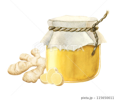 Honey glass jar with ginger roots and slices watercolor illustration clipart in realistic style. Hand drawn organic products for healthy tea and hot winter drinks 115650011