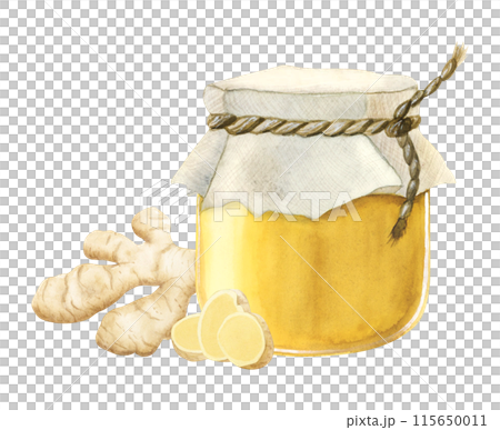 Honey glass jar with ginger roots and slices watercolor illustration clipart in realistic style. Hand drawn organic products for healthy tea and hot winter drinks 115650011