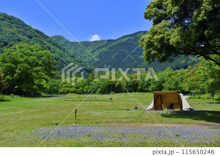 キャンプイメージ 養老公園内のキャンプ場とテント キャンプイメージ 養老公園内のキャンプ場とテント 115650246