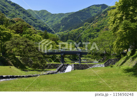 岐阜県養老町　養老公園の小川 115650248