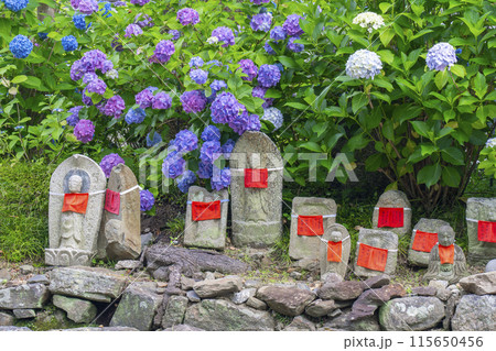 奈良 矢田寺 お地蔵さんと紫陽花 奈良 矢田寺 お地蔵さんと紫陽花 115650456