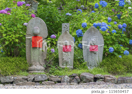 奈良　矢田寺　お地蔵さんと紫陽花 115650457