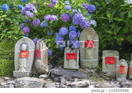 奈良　矢田寺　お地蔵さんと紫陽花 115650498