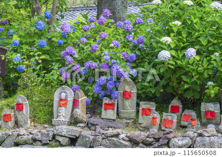 奈良　矢田寺　お地蔵さんと紫陽花 115650508