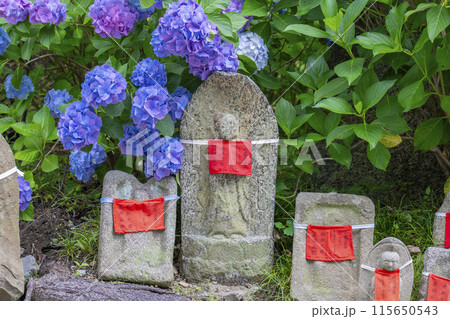奈良　矢田寺　お地蔵さんと紫陽花 115650543