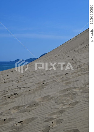真夏の鳥取砂丘 真夏の鳥取砂丘 115650590
