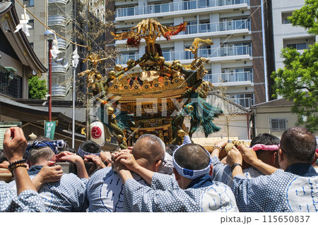 浅草 三社祭 お神輿の渡御 町内神輿連合渡御(ちょうないみこしれんごうとぎょ) 浅草神社拝殿前にて 浅草 三社祭 お神輿の渡御 町内神輿連合渡御(ちょうないみこしれんごうとぎょ) 浅草神社拝殿前にて 115650837