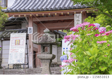 奈良 矢田寺 山門 満開のアジサイ 奈良 矢田寺 山門 満開のアジサイ 115651013