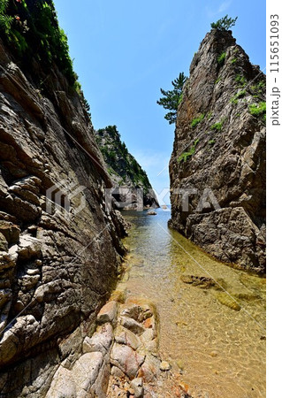 夏の浦富海岸 夏の浦富海岸 115651093
