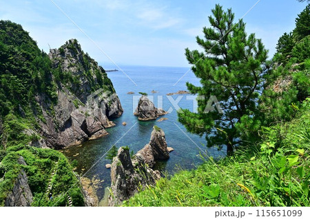 夏の浦富海岸 夏の浦富海岸 115651099