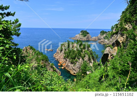 夏の浦富海岸 夏の浦富海岸 115651102