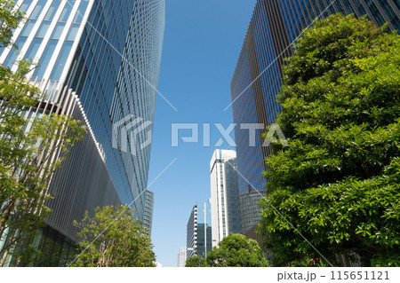 高層ビルを見上げるオフィス街の風景 高層ビルを見上げるオフィス街の風景 115651121