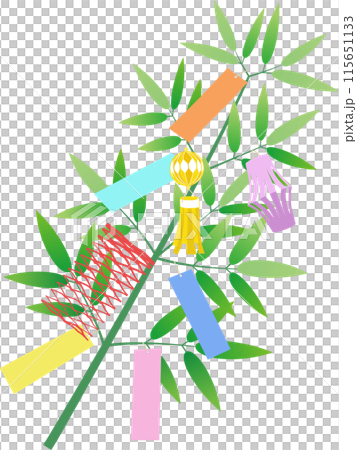 七夕飾りのある笹の枝のカラーイラスト 115651133