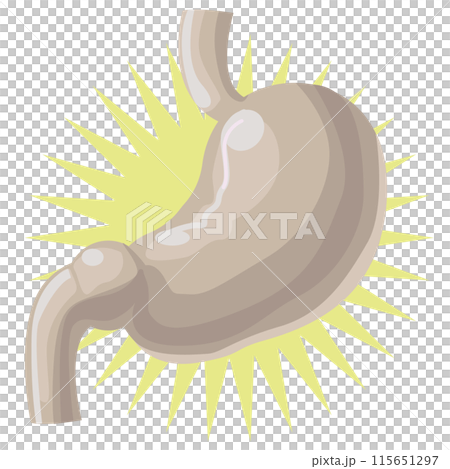 鉄でできた丈夫な胃袋のイラスト 115651297