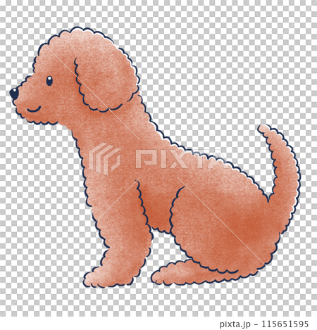 側面色鉛筆手繪的坐著的玩具貴賓犬插圖 115651595