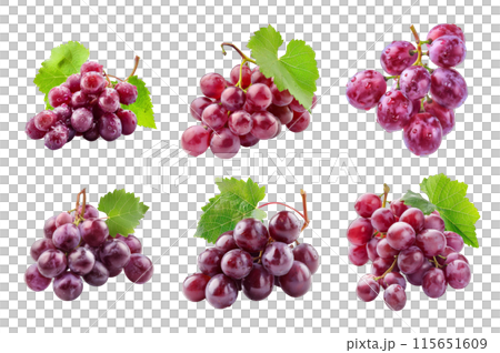 Grapes Collection Bundle Set Isolated on a transparent background 115651609