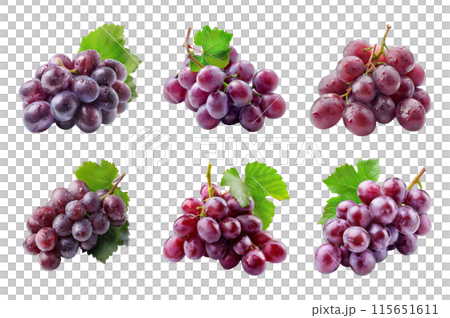 Grapes Collection Bundle Set Isolated on a transparent background Grapes Collection Bundle Set Isolated on a transparent background 115651611