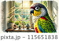 窓辺にたたずむワキコガネウロコインコ 115651838