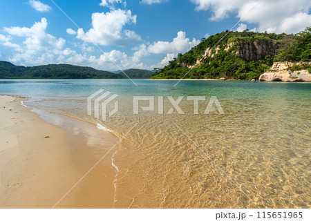 Beach in the morning 115651965