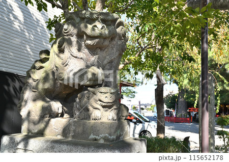 中山道鴻巣宿散歩：鴻神社　狛犬　　鴻巣市本宮町　 115652178