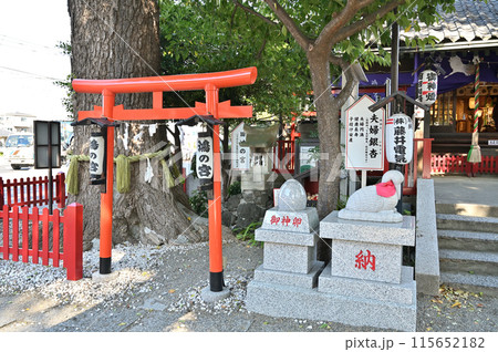 中山道鴻巣宿散歩：鴻神社　鴻の宮　鴻巣市本宮町　 115652182