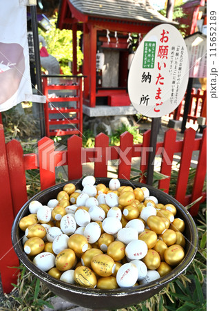 中山道鴻巣宿散歩：鴻神社　お願いたまご納所　鴻巣市本宮町　 115652189